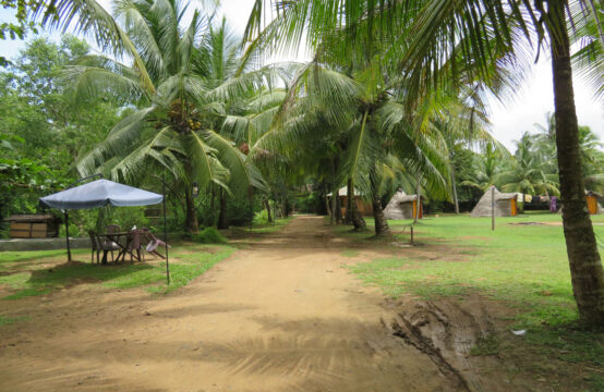 Beautiful mangrove property for sale