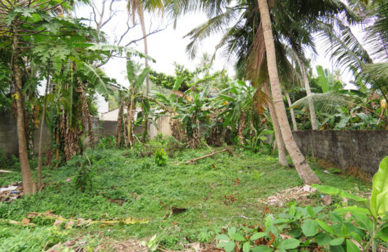 Commercial land  for sale in a popular tourist area