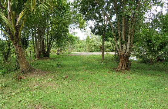 Land for sale 3 Acres