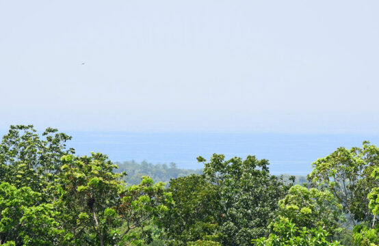 Land for sale 11.5 Acres