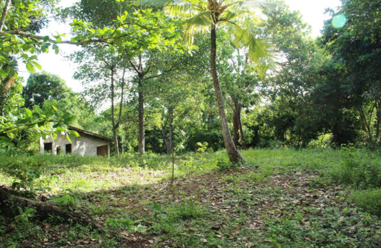 Land for sale in a popular area