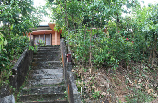 Cinnamon land with 4 bedroom house for sale