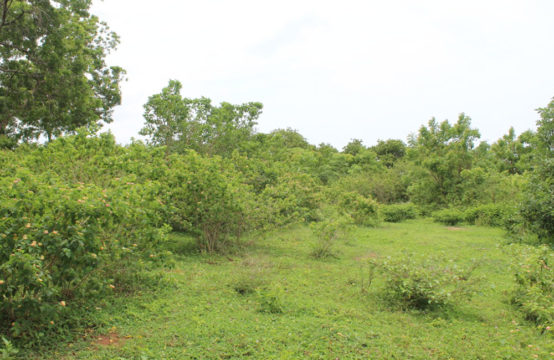 Land for sale 2 Acres