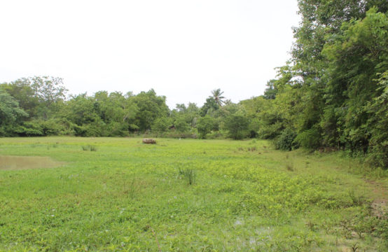 Land for sale 6 Acres