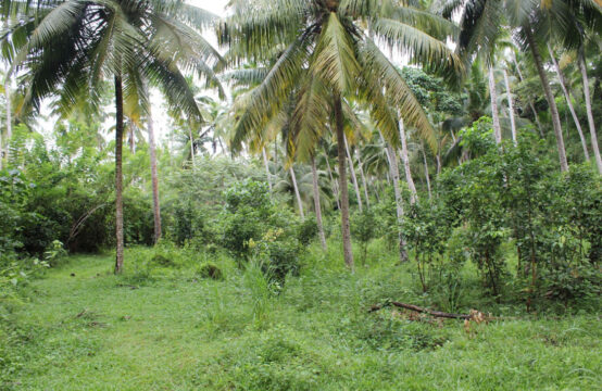 Land for sale 3 Acres