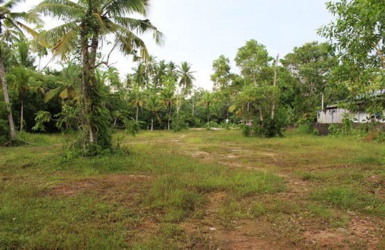 Land for sale