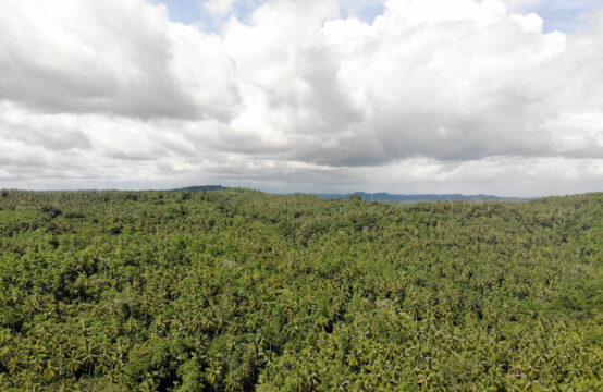 Land for sale 10 Acres