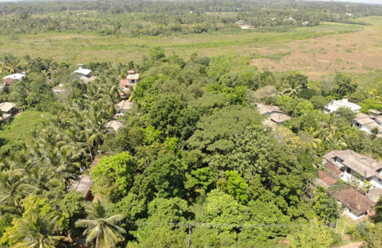 Land for sale 1.6 Acres
