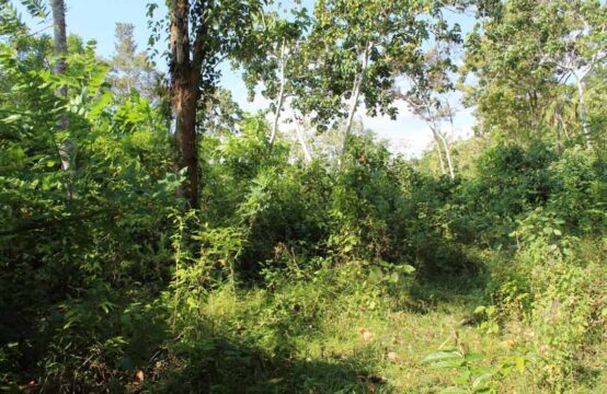 Land for sale 3 Acres