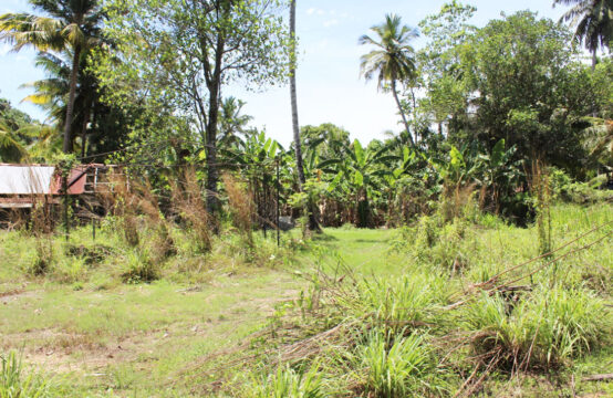 Land for sale