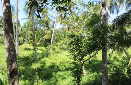 Land for development close to beach