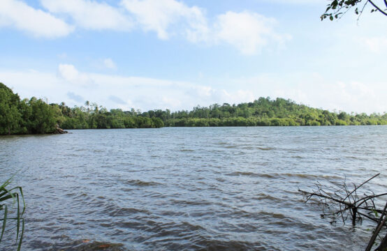 Land for sale overlooking Koggala lake