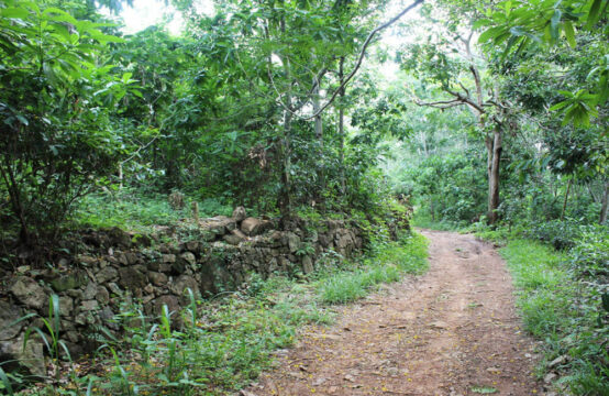 Land for development 3.2 Acre