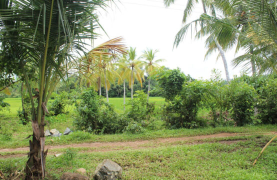 Land for sale in Meepe