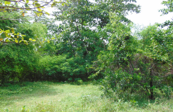 Land for sale