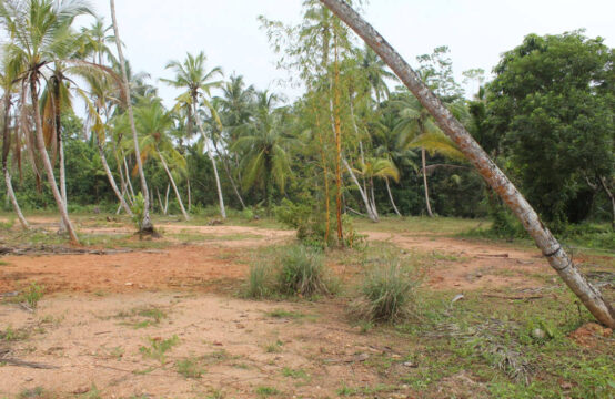 Land for sale on Bentota River