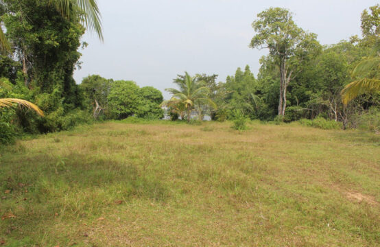 Land for sale on Bentota River