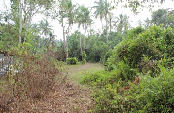 Land for sale on Bentota river