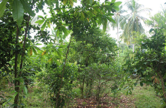 Land for sale 1.5 Acres