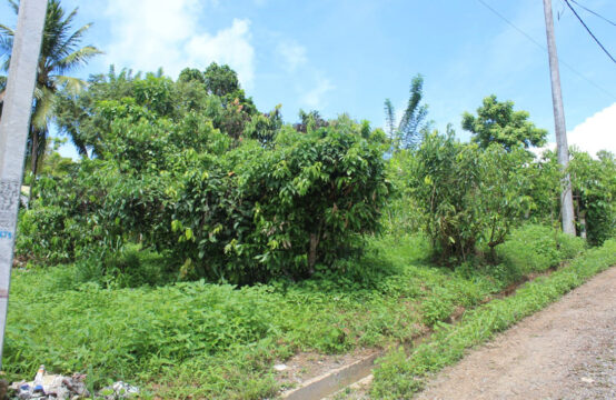 Land for sale