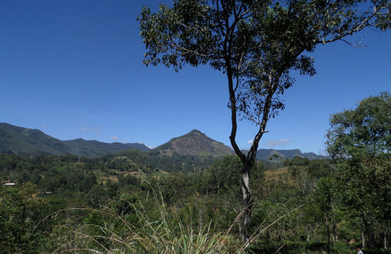 Land for sale 40 minutes from Horton Plains 3.1 Acre