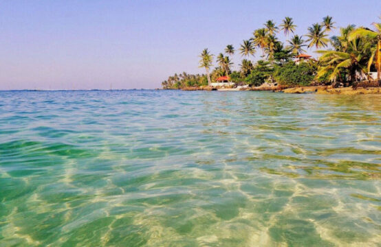 Land for Sale Near Polhena Beach &#8211; Ideal Investment Opportunity