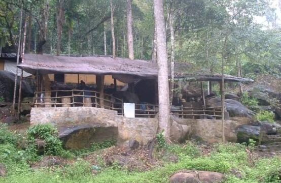 Exclusive 4-Acre land Bordering Sinharaja Rainforest &#8211; A Rare Investment Opportunity