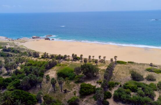 Beachfront Land for Sale in Kirinda – Perfect for a Tourism Project!