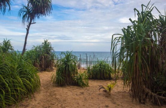 Prime 11-Acre Beachfront Development Land for Sale in Tangalle