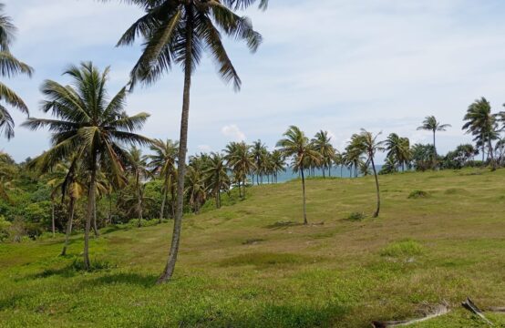 Prime 15-Acre Beachfront Development Opportunity in Dikwella