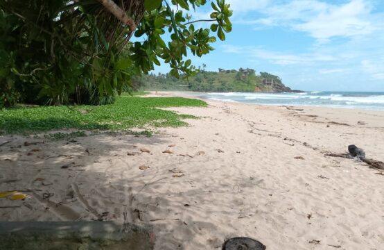 Beachfront Land for Sale in Rekawa Beach – 439 Perches