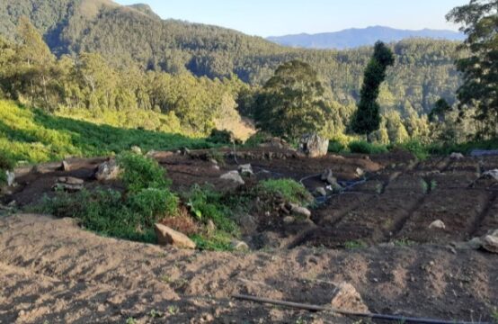 Exclusive 15-Acre Land in Boralanda – Ideal for Investment &#038; Development