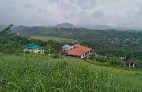 Scenic 10-Perch Land for Sale – Ideal for Residence or Holiday home