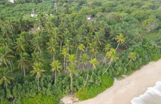 Beachfront Land for Sale in Kahadamodara, Sri Lanka – 270 Perches