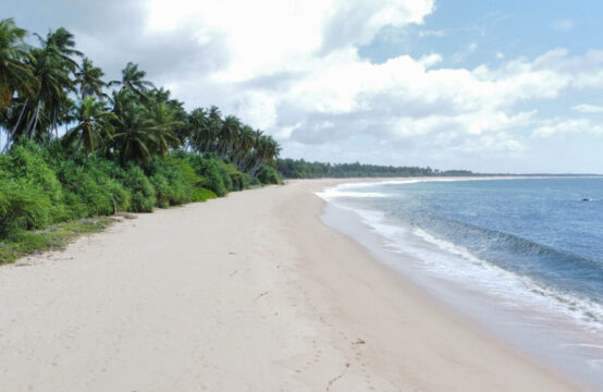 Beachfront Freehold Land for Sale in Kalametiya, Sri Lanka – 356 Perches Near Bird Sanctuary
