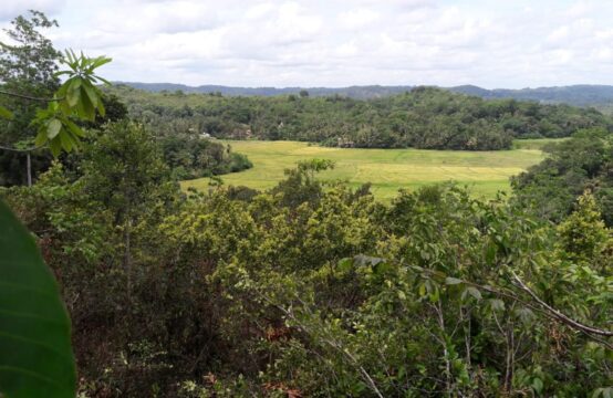 Development Opportunity in Meepe &#8211; 160 Perches Near Beach