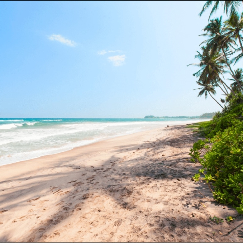 Sunny tropical beach with turquoise water, pinkish sand, and palm trees along the right edge.
