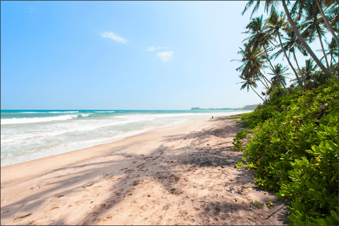 Sunny tropical beach with turquoise water, pinkish sand, and palm trees along the right edge.