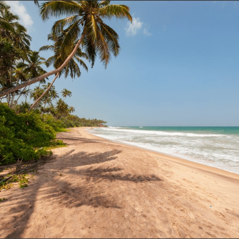Palm-fringed sandy beach with turquoise water and a clear blue sky in a tropical setting, sunlight casting shadows.