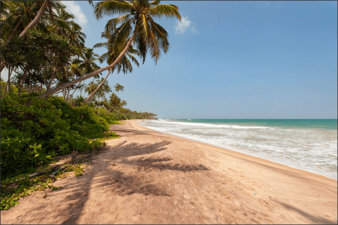 Palm-fringed sandy beach with turquoise water and a clear blue sky in a tropical setting, sunlight casting shadows.