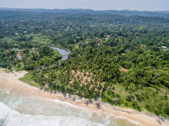 Aerial view of a tropical coastline with palm trees lining a sandy beach and a meandering river through dense greenery inland.